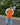 Orange Blue Ranglan Full Sleeves Tee For Men