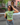 Matcha Cha Cha Cha It Girl Baby tee for Women