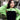 Burger Bust Crop Sweat Sweatshirt Burger Bae Free size Neon Green 